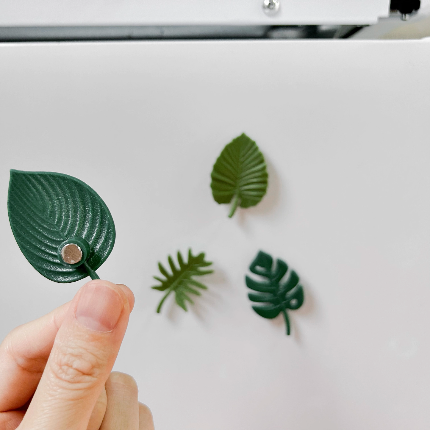 Leaf Refrigerator Magnet